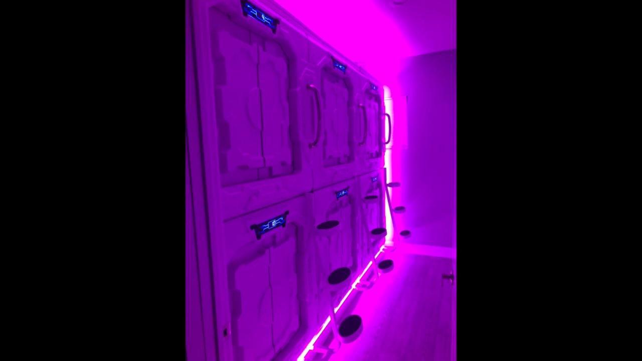La Podlife Hotel Los Angeles Luaran gambar