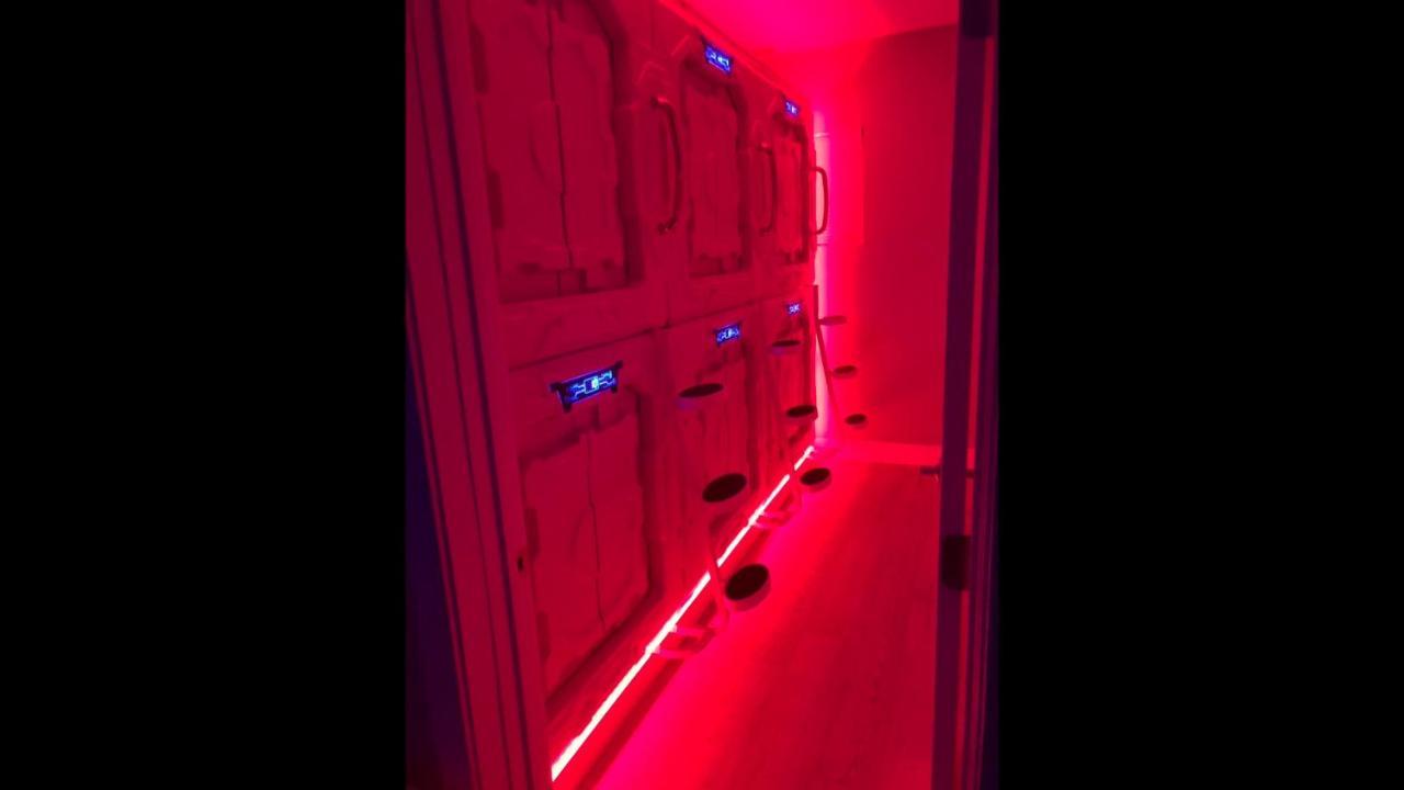 La Podlife Hotel Los Angeles Luaran gambar